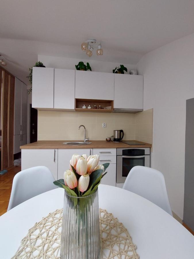 Appartement Soul Stan Na Dan à Novi Sad Extérieur photo